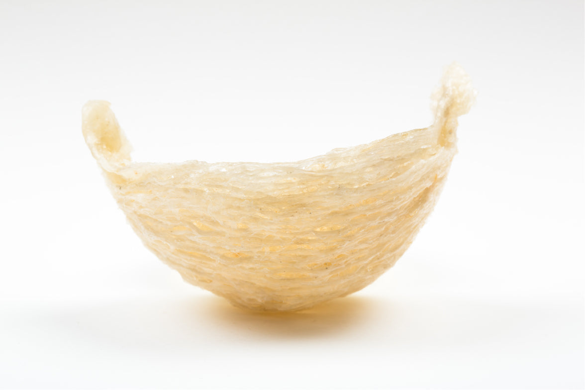 Hydrolysed Swiftlet Nest Extract